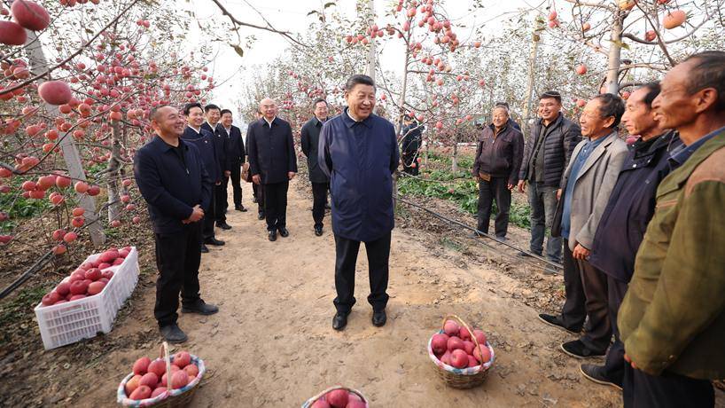 习近平在陕西延安和河南安阳考察时强调 全面推进乡村振兴 为实现农业农村现代化而不懈奋斗