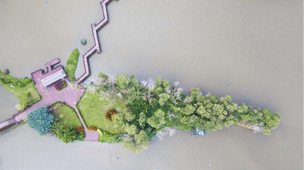 受污水库变身湿地公园