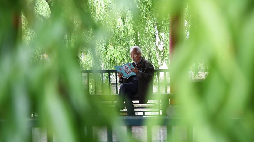 诗意中国丨读书不觉已春深 一寸光阴一寸金