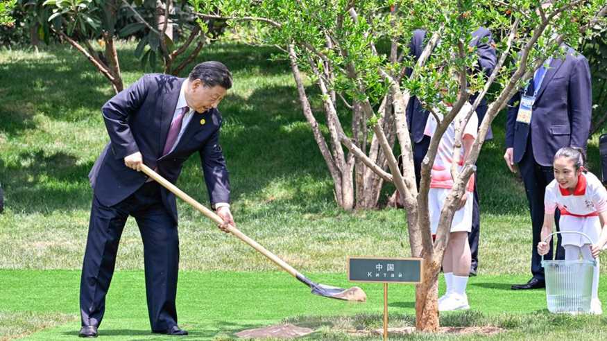 中国—中亚峰会丨这些年 习近平主席种下这些友谊之树