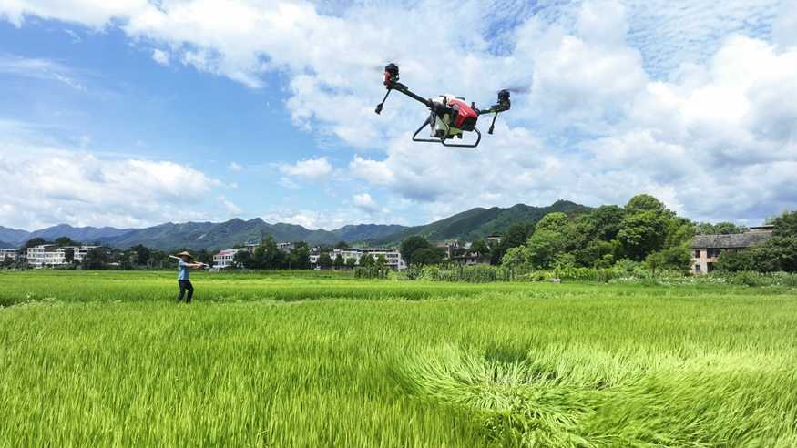 湖南常宁：“空中管护”保丰收