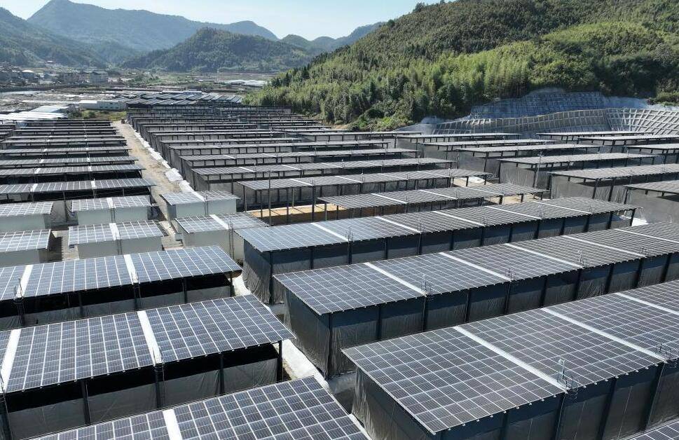 福建宁德古田：打造菇光融合发展新模式