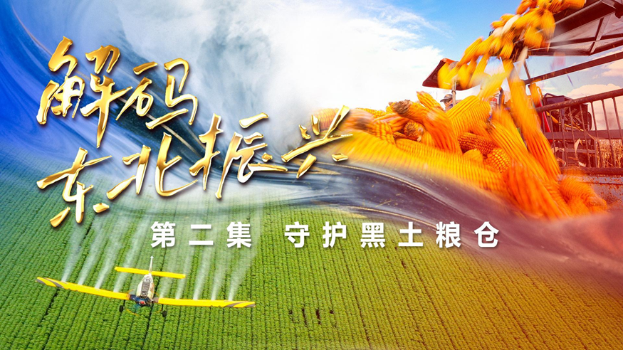 六集政论片《解码东北振兴》第二集：守护黑土粮仓