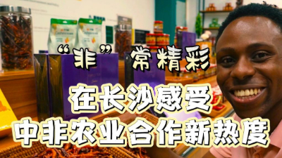 洋洋大观   “非”常精彩·在长沙感受中非农业合作新热度