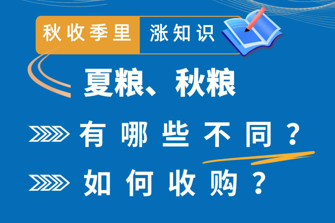 秋收季里涨知识丨夏粮、秋粮有哪些不同？如何收购？