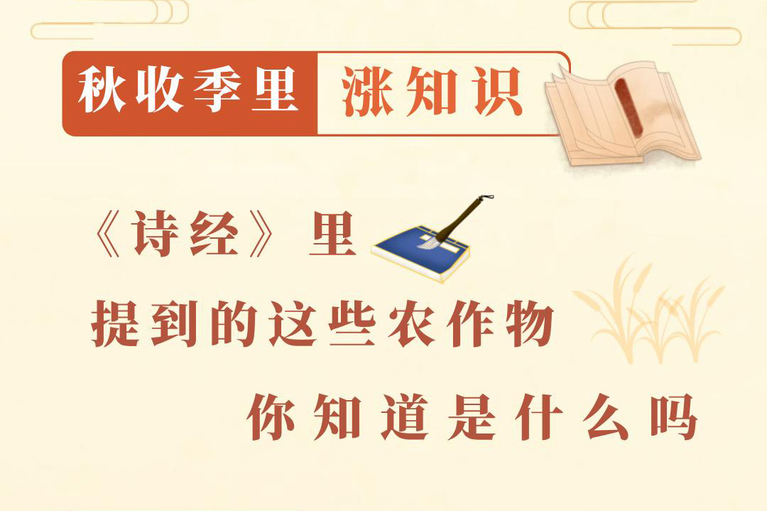 秋收季里涨知识丨《诗经》里提到的这些农作物，你知道是什么吗