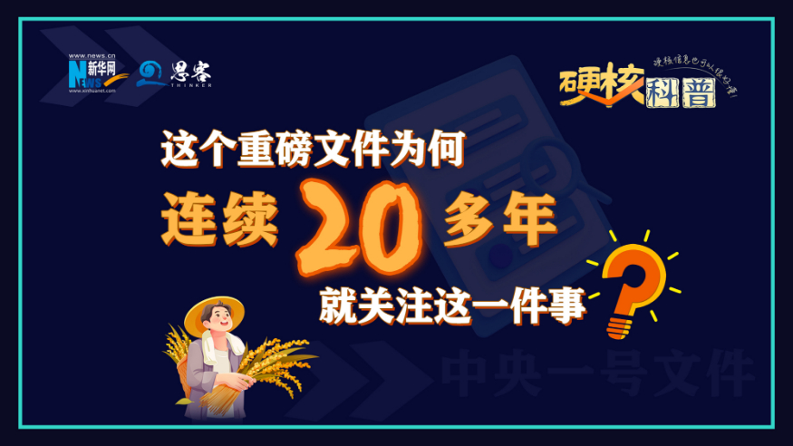硬核科普·中央一号文件  这个重磅文件为何连续20多年就关注这一件事？