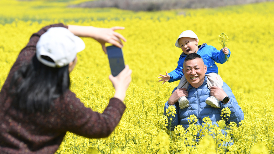 乐享春日，这些出游路线可收藏