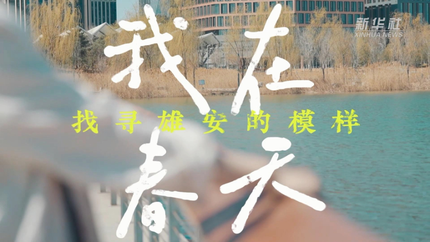 我在春天找寻雄安的模样