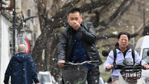 杨柳飞絮进入高发期 易过敏人群如何做好防护