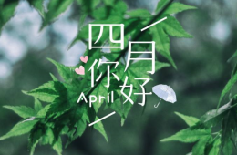 最美人间四月天 莫负春光 莫负自己
