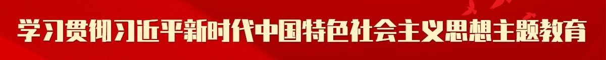 学习贯彻习近平新时代中国特色社会主义思想主题教育