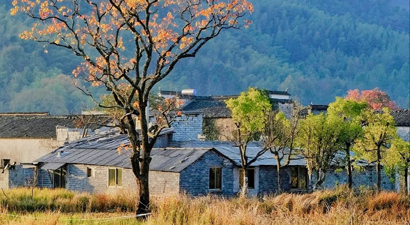 我国秋色绝美的10个古镇 累了就去小住几日
