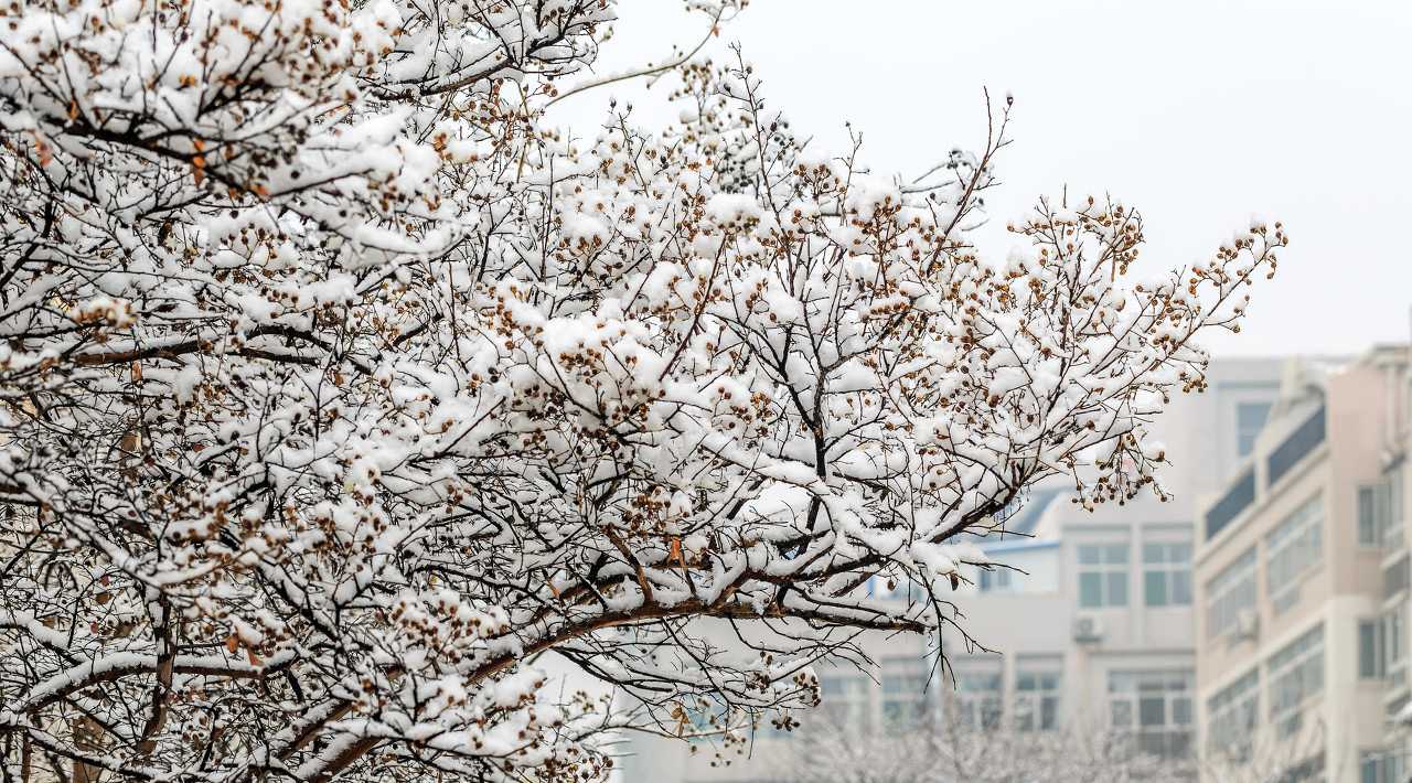 今年来最大范围雨雪今起上线 降雪还是降雨如何判断