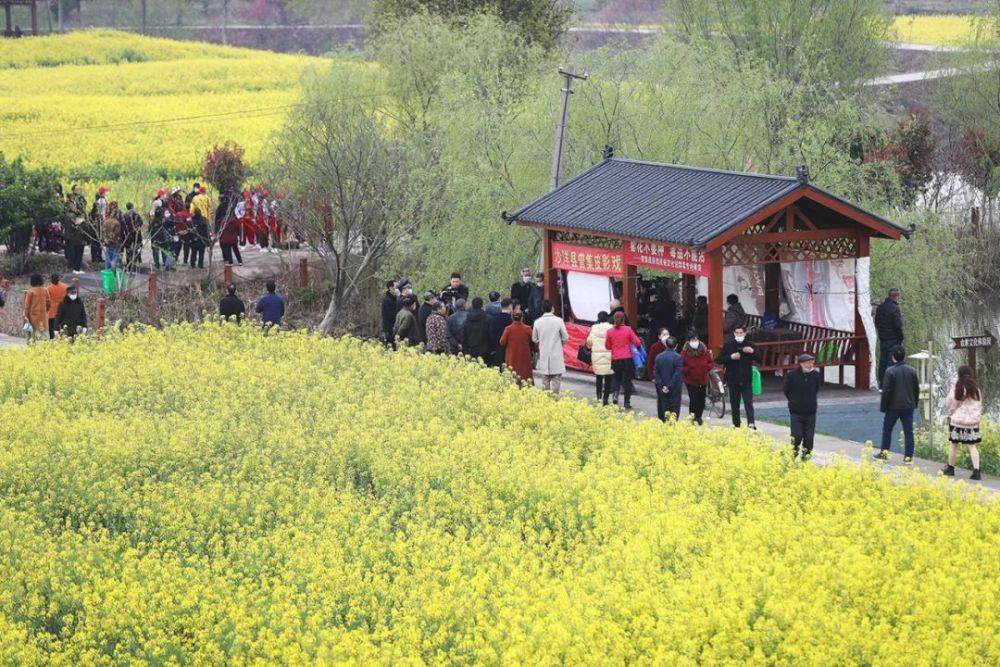 皮影戏传承人和民警共同演绎禁毒主题剧 游客驻足观看
