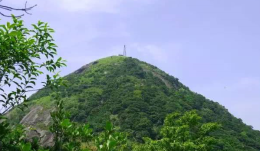 深圳这八座知名的大山 看看你都征服了几座