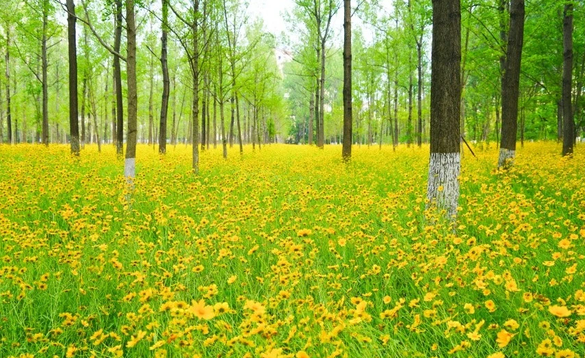 淮安4处因水而美的旅行地 距离淮安市区仅1小时