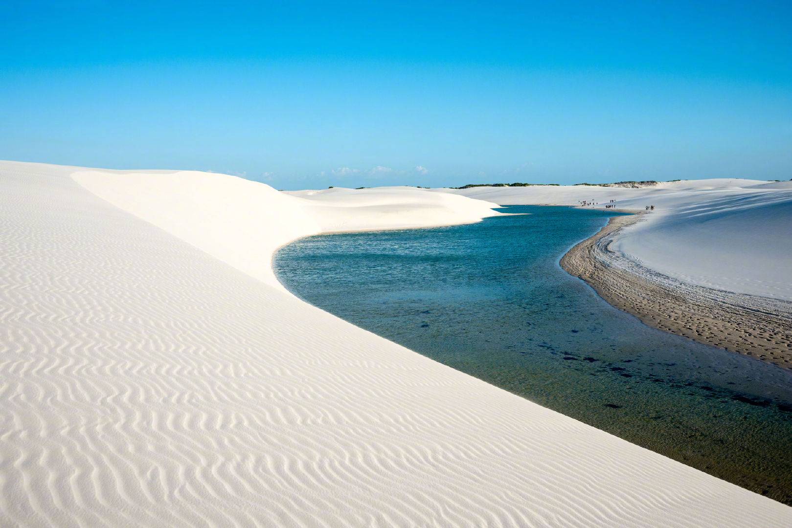 世界上最奇怪的沙漠 年降水量超过1600毫米