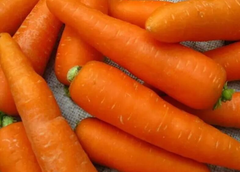 难怪我不爱吃胡萝卜 它和香菜是一家的 