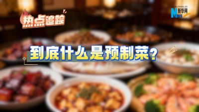 热点追踪｜到底什么是预制菜？