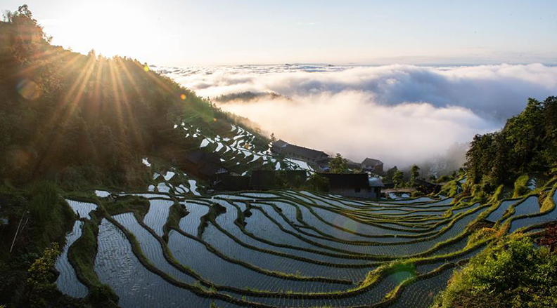 美丽乡村的优美风景