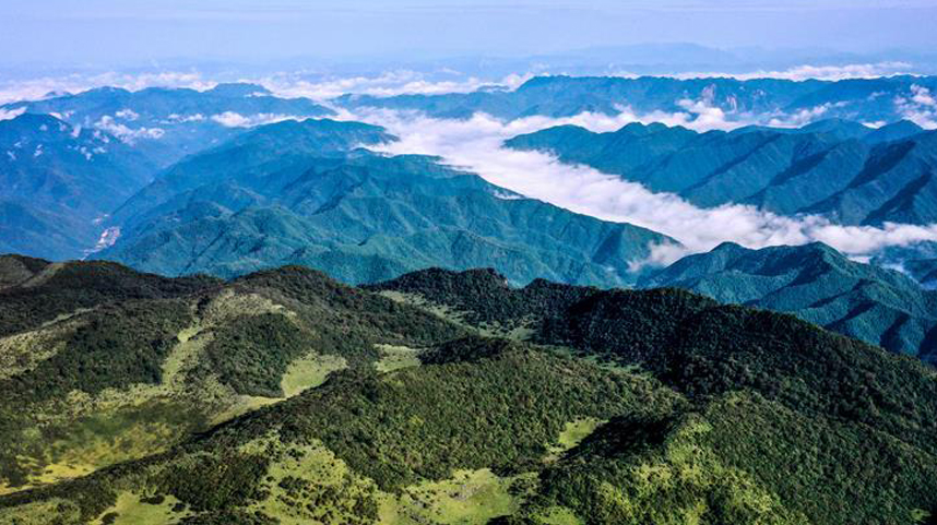 云起峰峦间 紫柏山如画