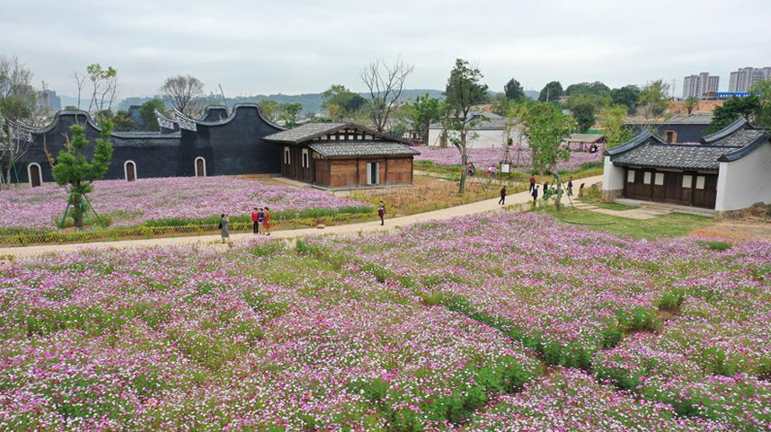 福州：打造特色街区 促进乡村旅游发展