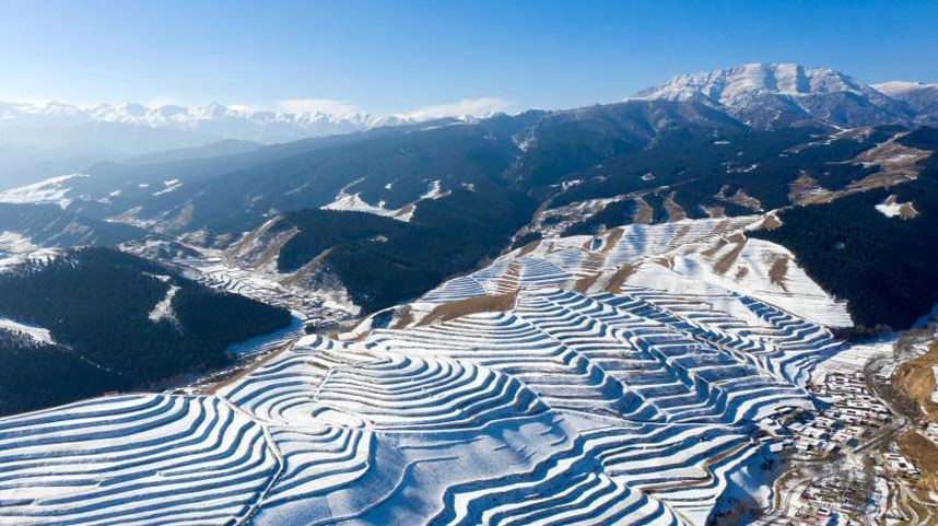 甘肃天祝：雪落梯田景色美