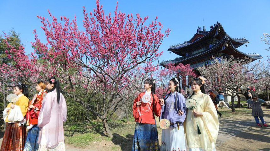 南京国际梅花节开幕