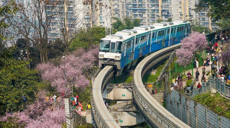 重庆：一路繁花相送 带你驶向春天