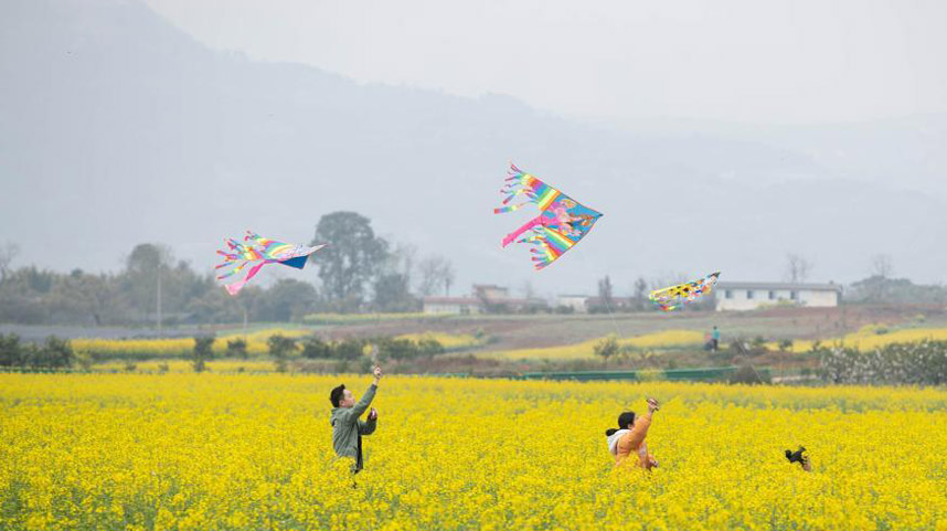 川西平原花季之旅