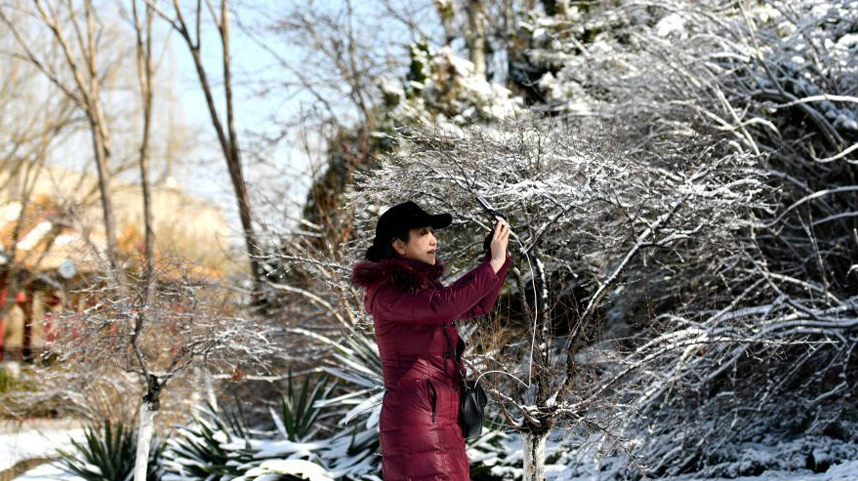 春雪落津城