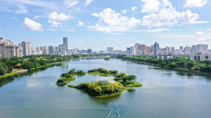 雨后城市湿地美