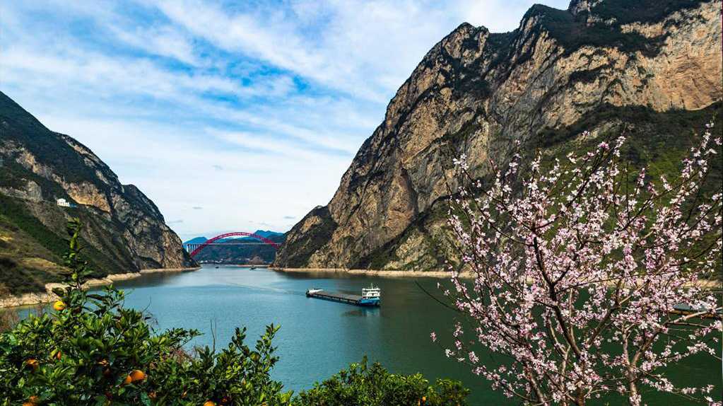 湖北秭归：花艳橙香三峡美