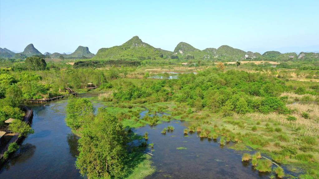 岩溶湿地别样春