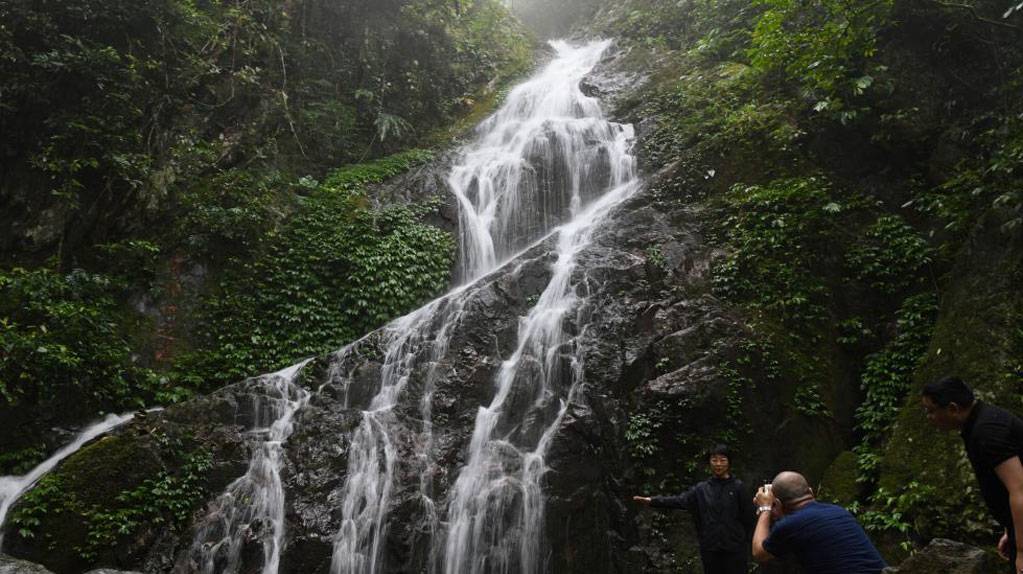 海南五指山：雨林风光引游人