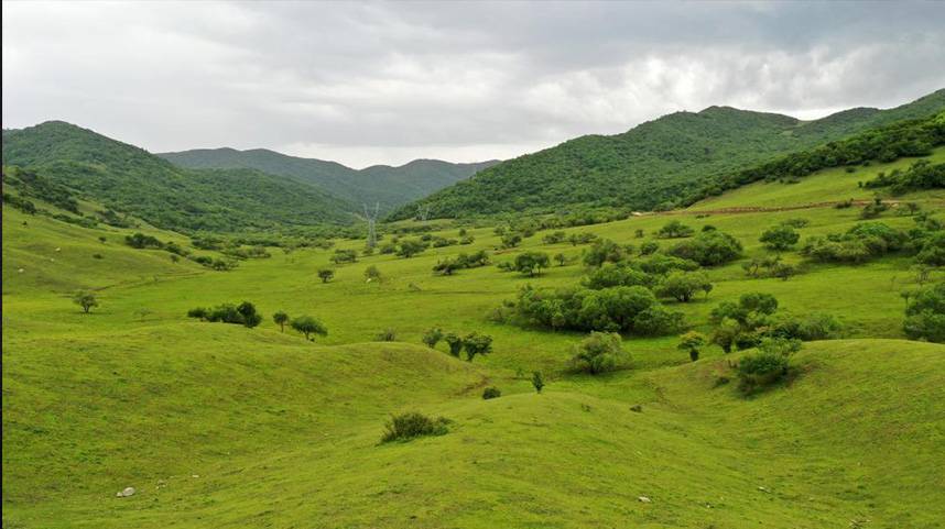 夏日关山绿茵似毯