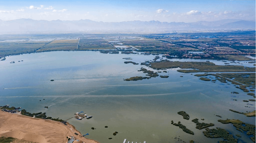 宁夏沙湖 碧波万顷