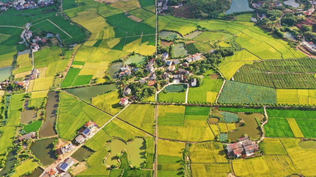 初秋田园景如画