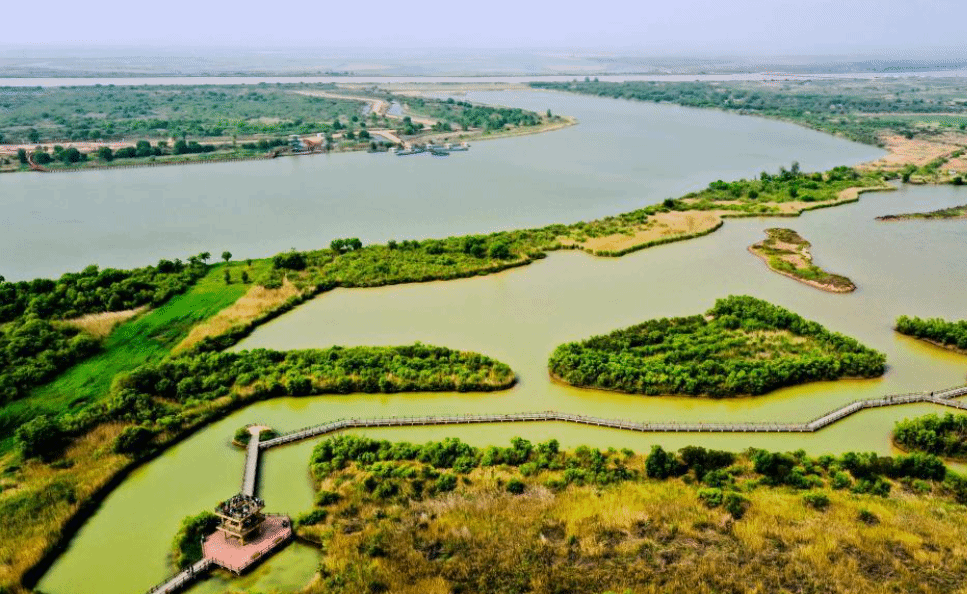 大美湿地城市丨东营