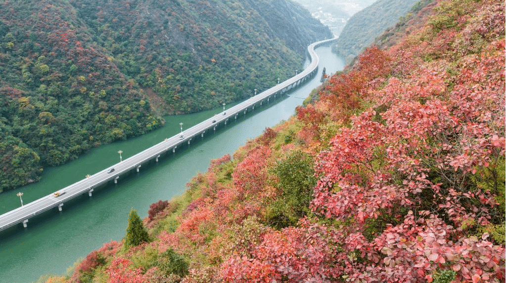 湖北宜昌：“水上公路”入画来