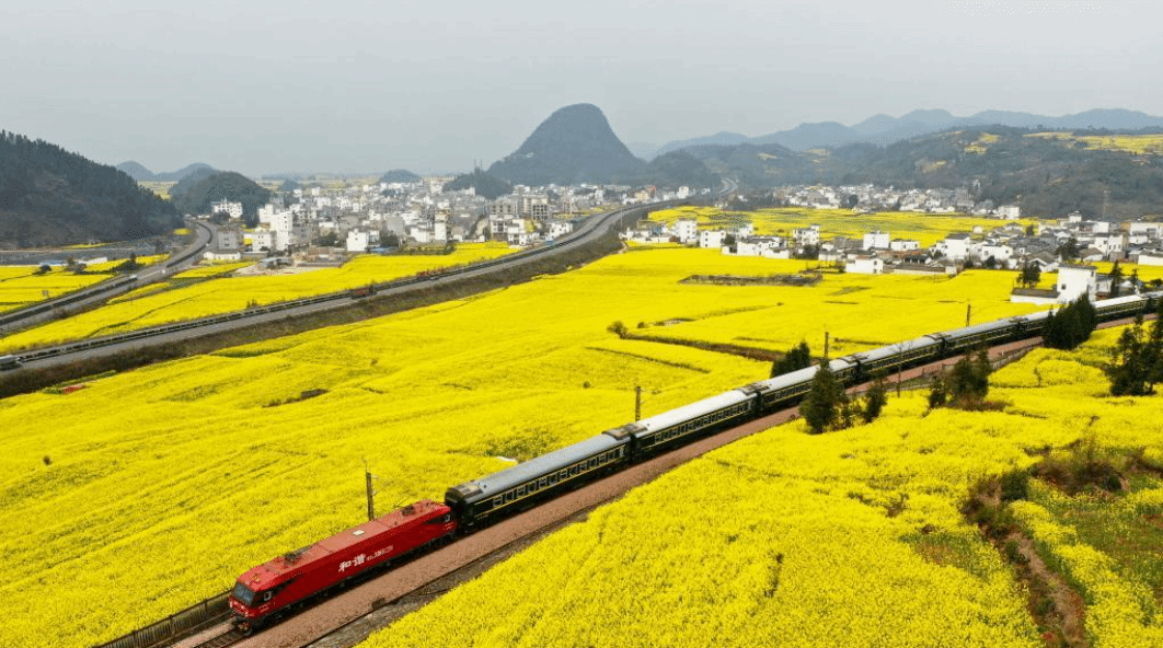 花香伴列车