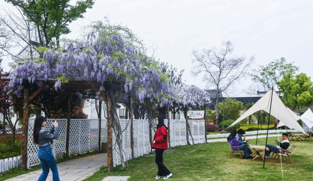 浙江织里：春季乡村旅游经济升温