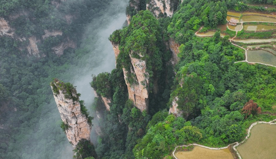 峰林田园云雾缥缈