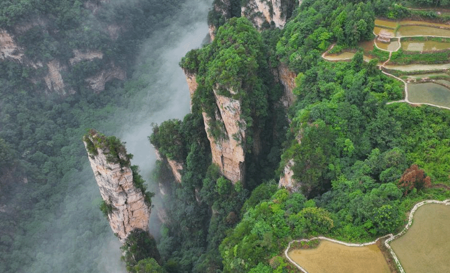 峰林田园云雾缥缈