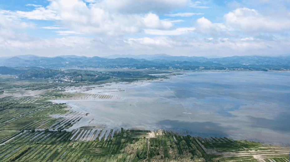 夏日草海景如画