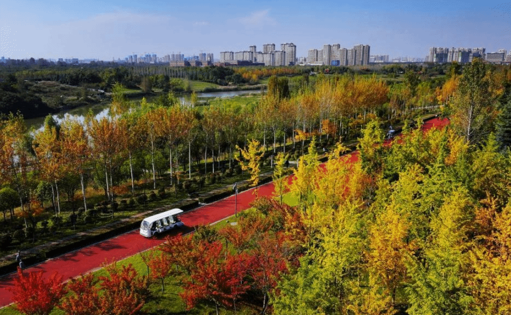 陕西：沣河秋景胜春朝