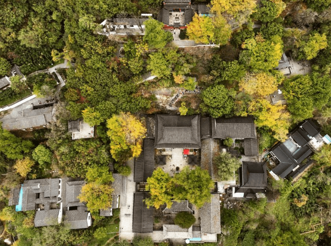 红叶黄花秋意晚