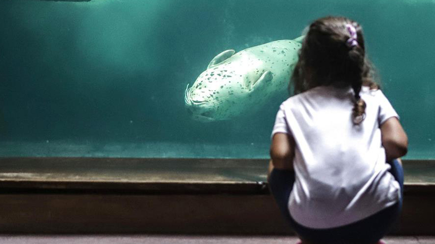 巴西圣保罗市水族馆重新开放