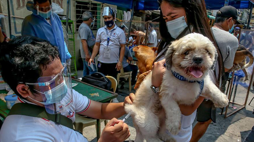 世界狂犬病日